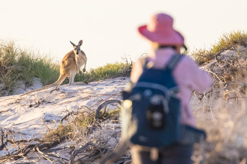 karijini ningaloo photo tour example 6
